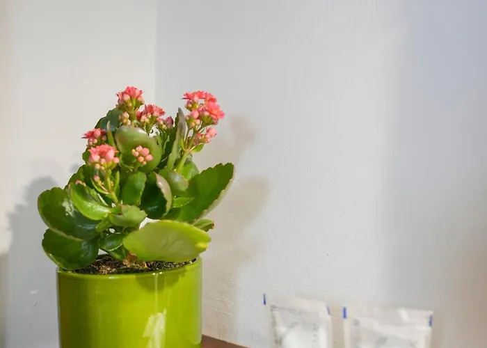 Trullimania 住宿加早餐酒店