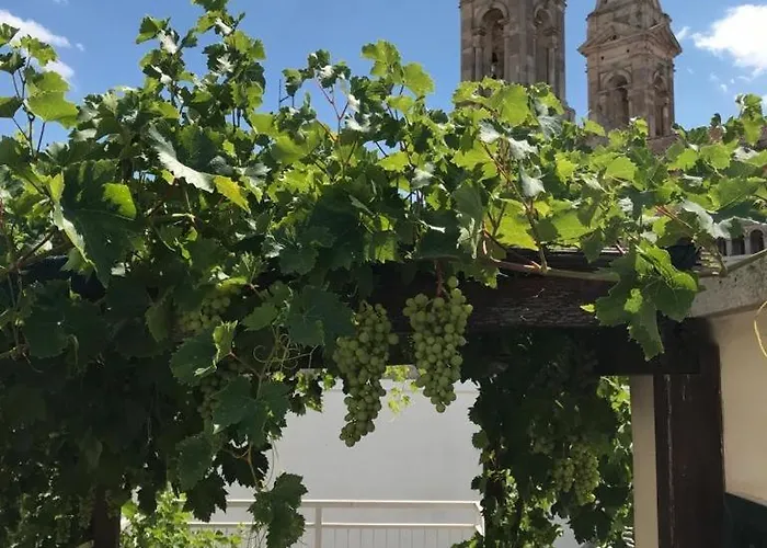 住宿加早餐酒店 Trullimania 3*