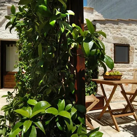 فندق مبيت وإفطار Trullimania ألبيروبيللو